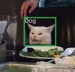 Kedi görselini Dog etiketiyle sınıflandıran bir model