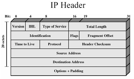 IP paketinin içeriği